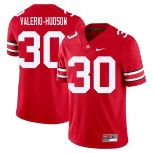 Men's Replica #30 Scarlet College Football OSU Buckeyes Amari Valerio-Hudson Jersey 740859-996