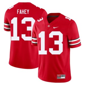 Men's #13 The Buckeyes Scarlet Stitched College Football Luke Fahey Jersey 282620-415