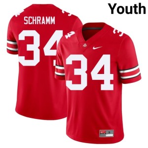 Youth Limited College Football Brennen Schramm #34 Buckeye Nation Scarlet Jersey 793937-376