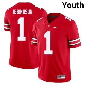 Youth #1 OSU Buckeyes Scarlet College Football High School Davison Igbinosun Jersey 373160-173