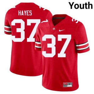 Youth Scarlet The Fighting Buckeyes #37 Zach Hayes University College Football Jerseys 931024-471