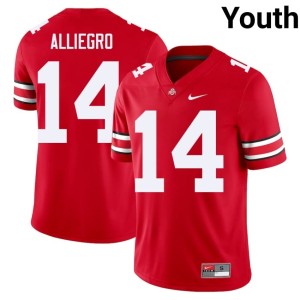 Youth Buckeye Nation #14 Replica Christian Alliegro College Football Scarlet Jerseys 633892-226