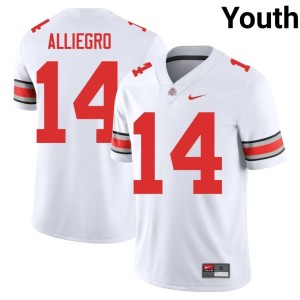 Youth College Football OSU Buckeyes Christian Alliegro #14 White 2025 Jersey 560863-980
