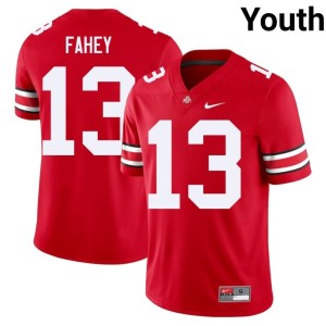 Youth The Fighting Buckeyes #13 Luke Fahey College Football Player Scarlet Jersey 689272-774